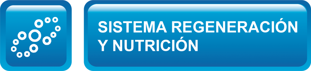 SISTEMA REGENERACION